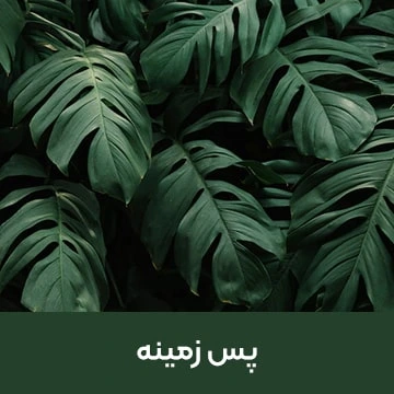 طرح لایه باز